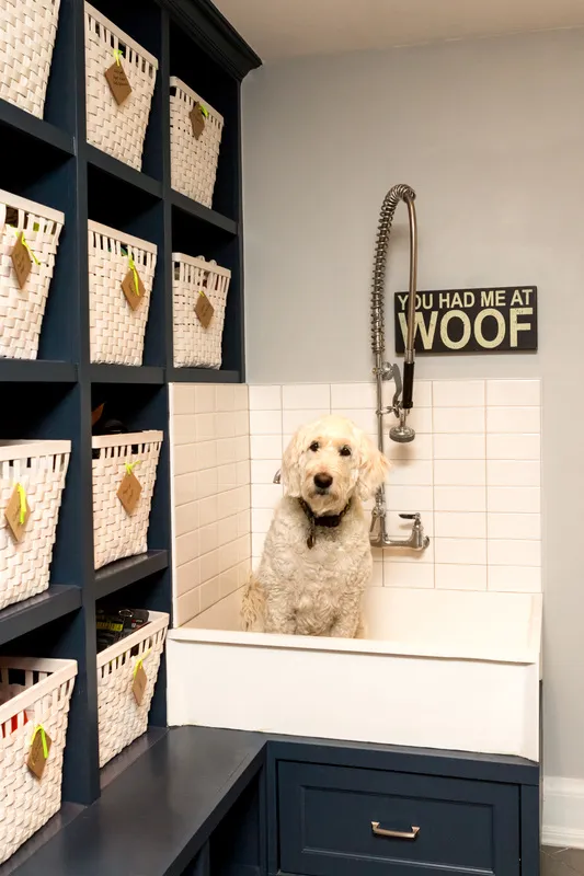 12 GENIUS MUDROOM DOG WASH STATION IDEAS FOR PET LOVERS - Hey, Djangles.