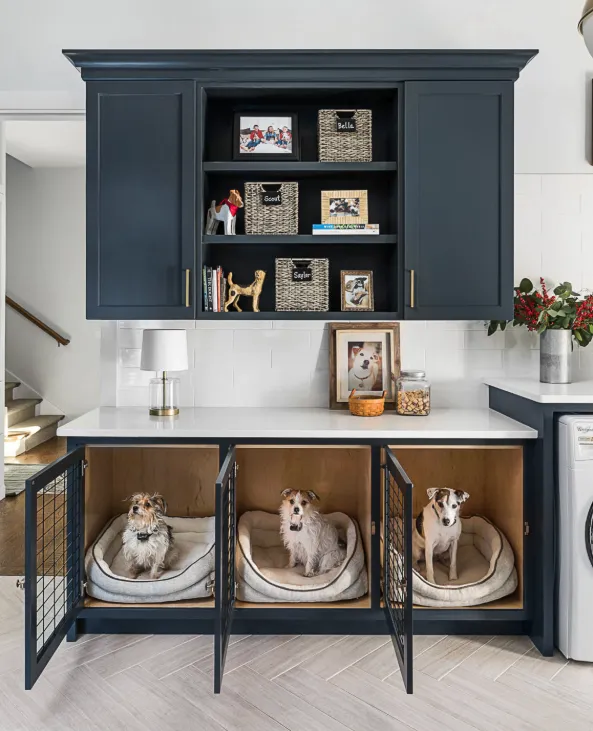 https://heydjangles.com/wp-content/uploads/2019/01/m-house-development-dog-room.png