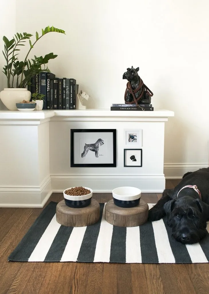 Non-negotiable Dog Room Decor Essentials - Hey, Djangles.