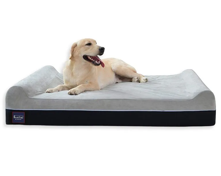 12 Best Orthopedic Dog Beds for Arthritis Hey, Djangles.