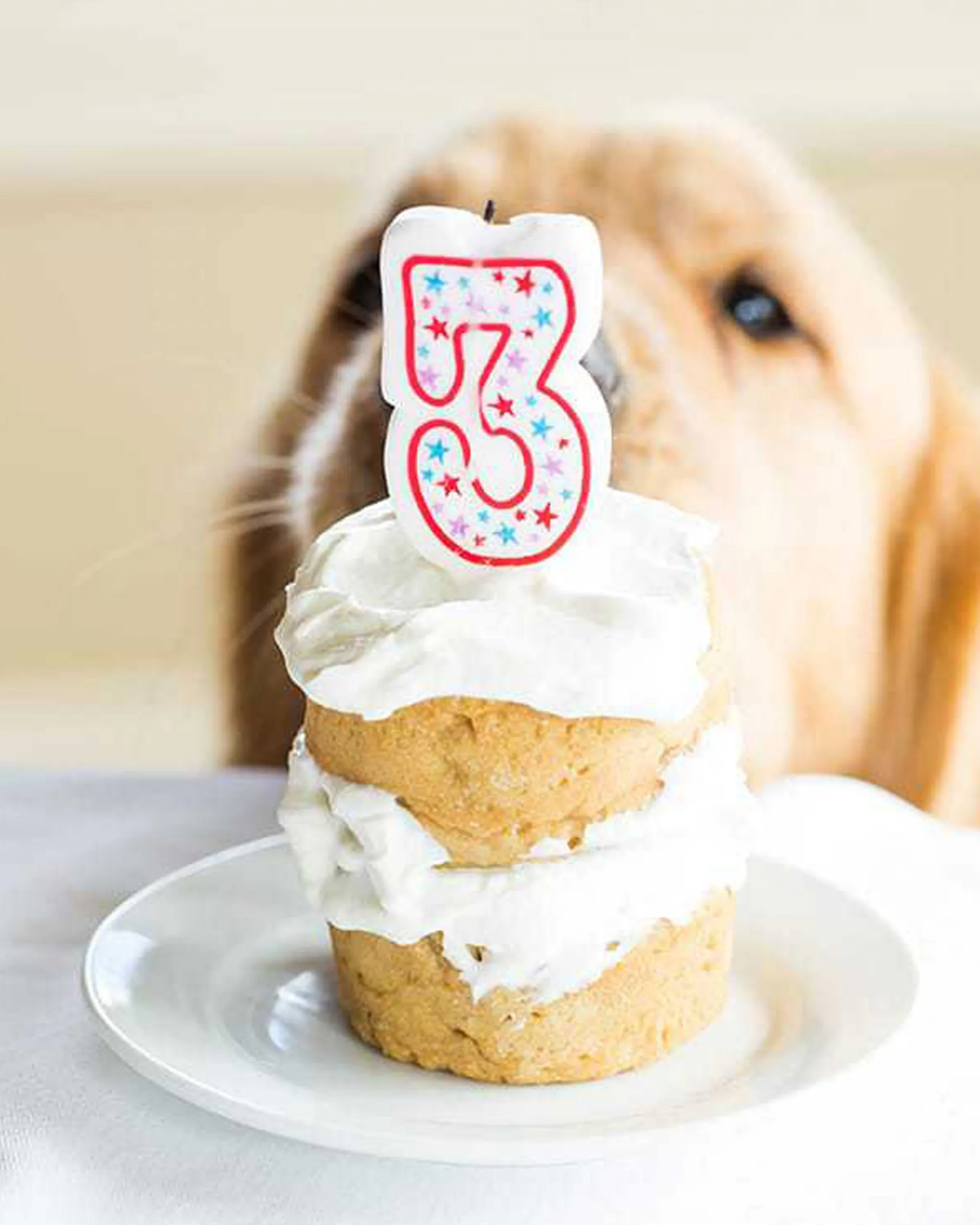 dog birthday cake without peanut butter