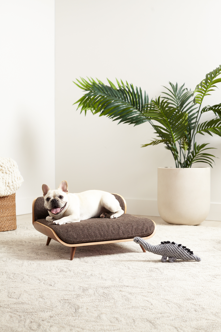 ROUND-UP: Mid-Century Modern Dog Beds, Dog Crates & Pet Bowls - feat. Pixi Dog Bed from Cairu MCM