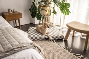 LAY LO Pets Gray Checker Dog Bed or Bed Cover via LAY LO Pets