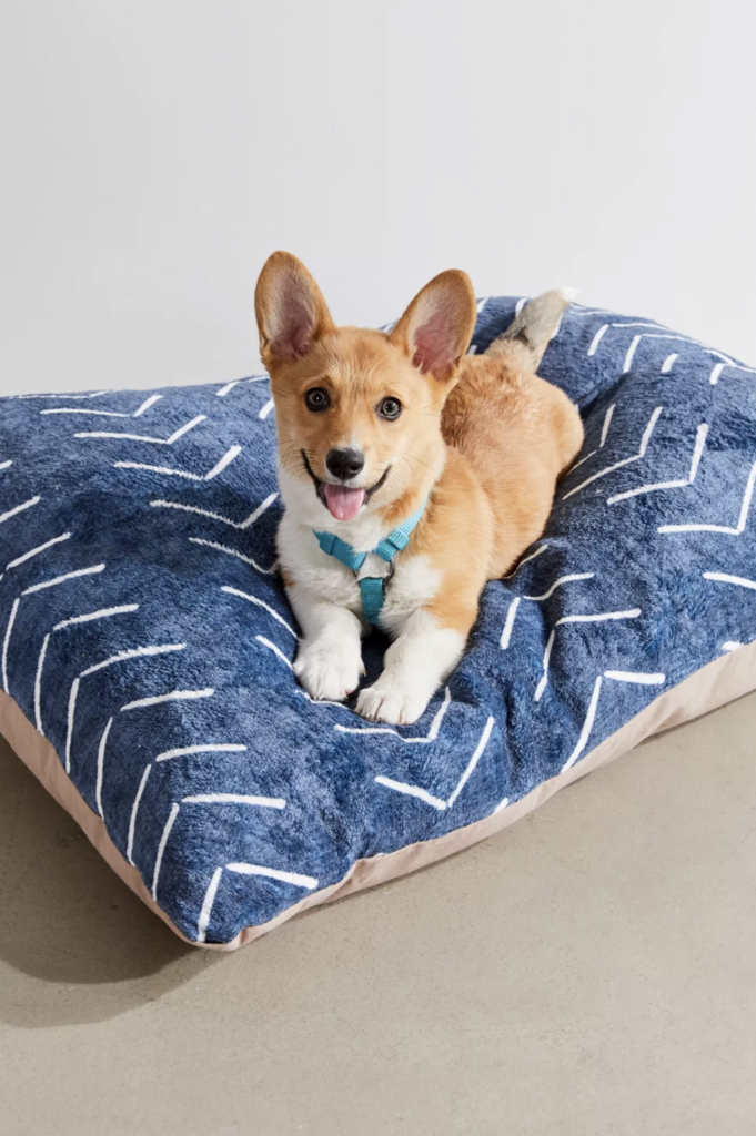 30+ Stylish Boho Dog Beds You and Your Fur Kids Will Love Hey, Djangles.