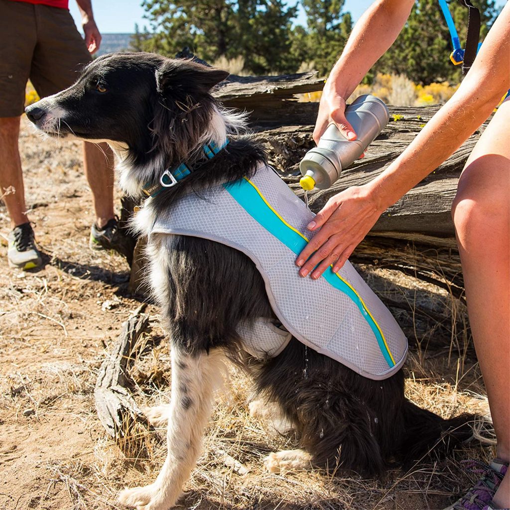 10 Tips for Keeping Dogs Cool Outside​ In Summer - IMAGE via Amazon, feat. RUFFWEAR – Swamp Cooler Evaporative Dog Cooling Vest.