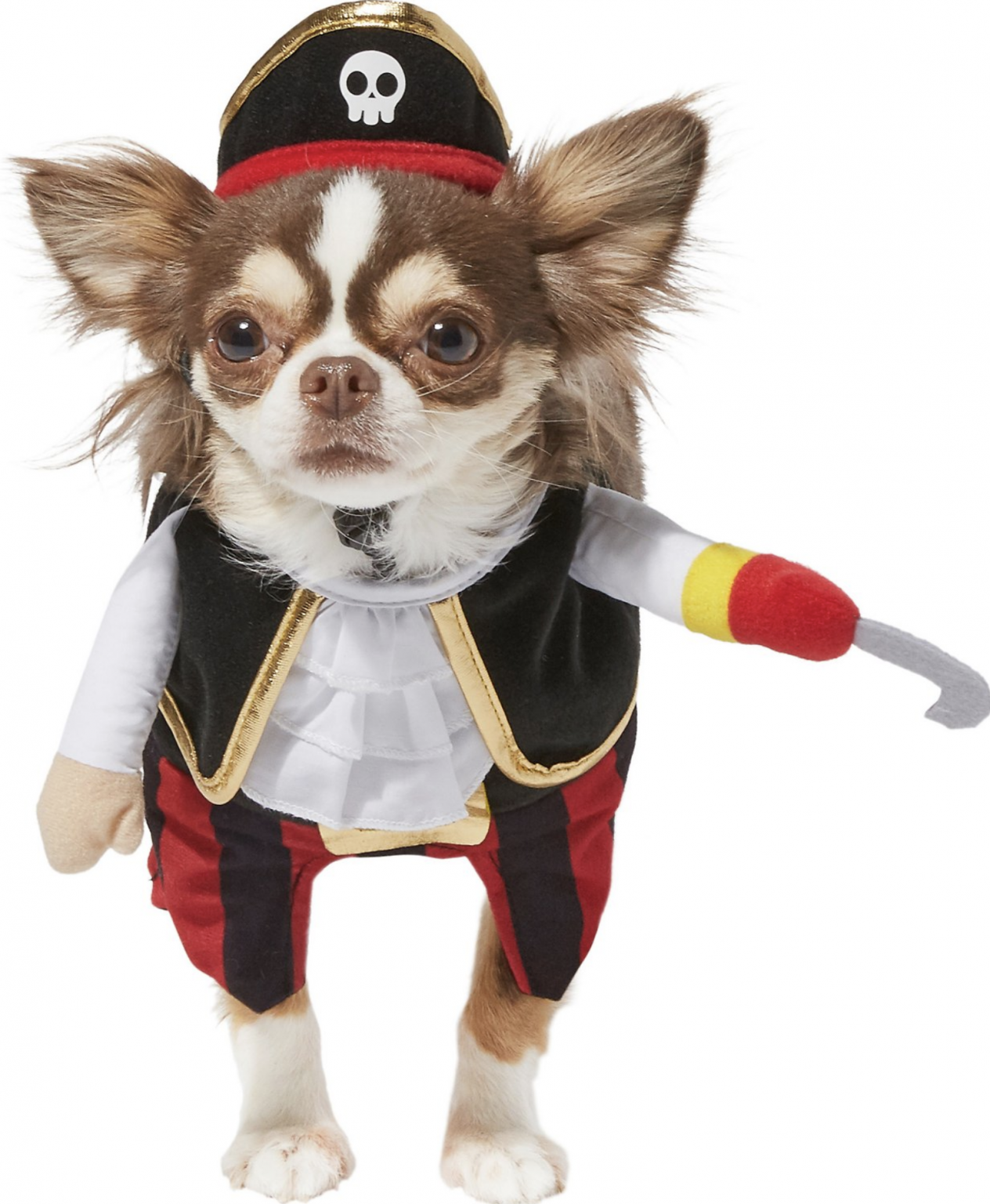 22 SuperCute Halloween Costumes for Chihuahuas Hey, Djangles.