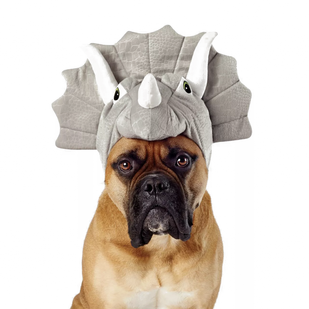 20 Cute Halloween Costumes For Extra Large Dogs (up To 3XL!) - Hey ...