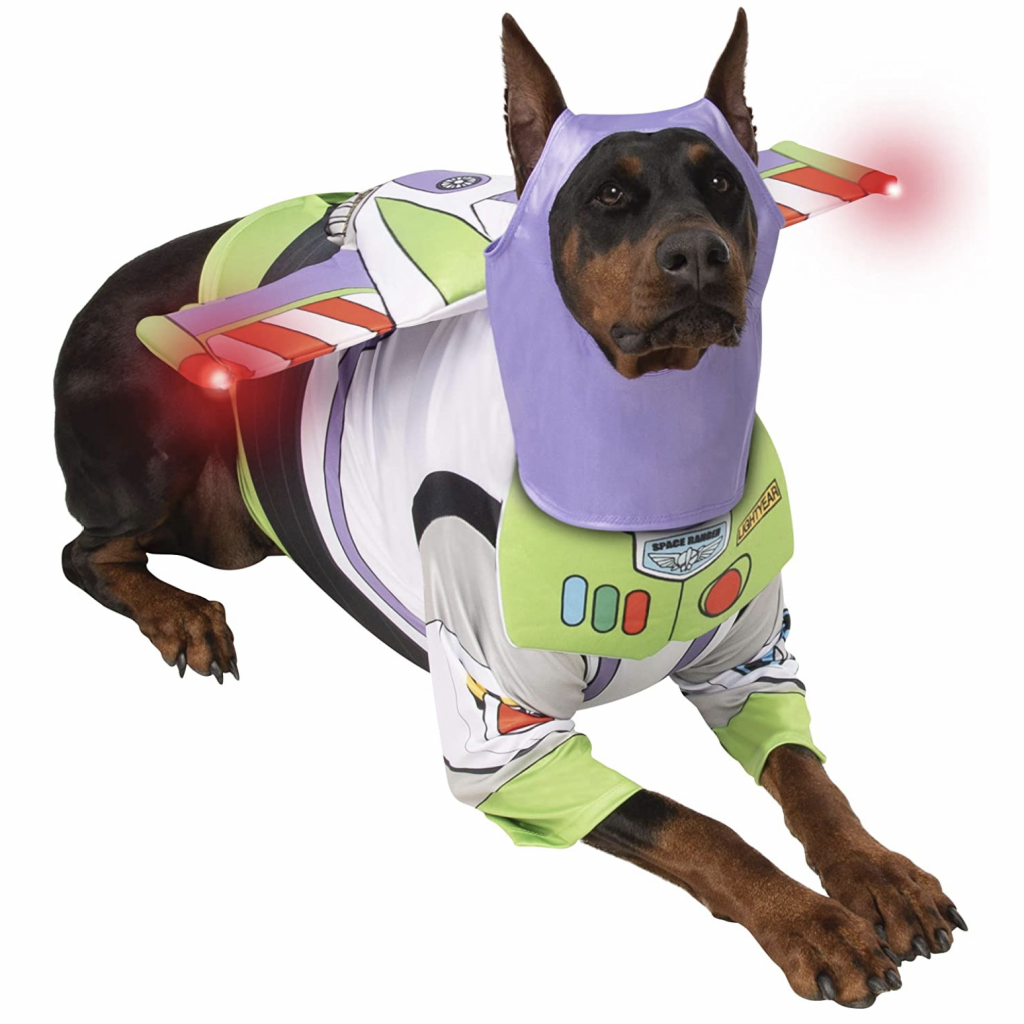 20+ Cute Halloween Costumes for Extra Large Dogs (up to 3XL!) Hey