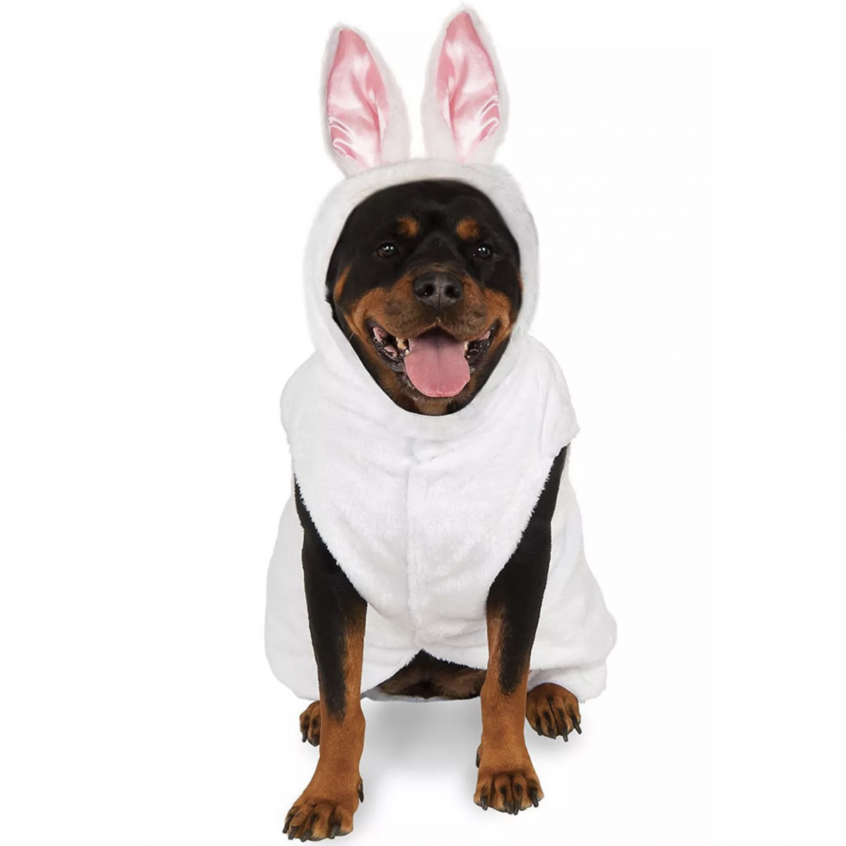 20 Cute Halloween Costumes for Extra Large Dogs (up to 3XL!) Hey, Djangles.