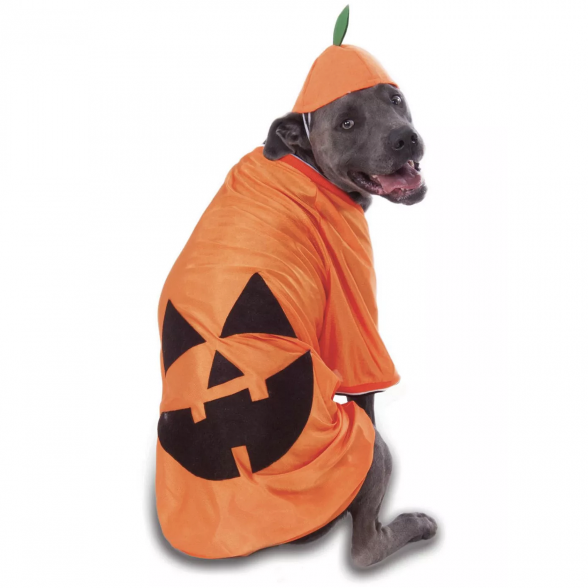 20+ Cute Halloween Costumes for Extra Large Dogs (up to 3XL!) Hey