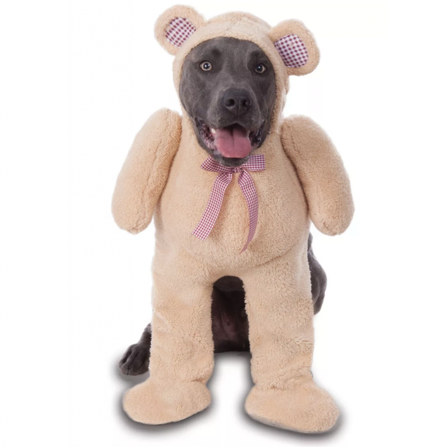 20 Cute Halloween Costumes for Extra Large Dogs (up to 3XL!) Hey, Djangles.