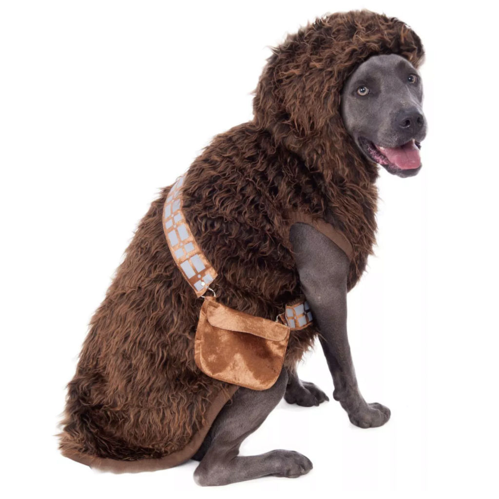 20+ Cute Halloween Costumes for Extra Large Dogs (up to 3XL!) Hey, Djangles.