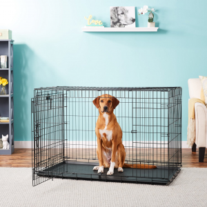 13 Practical Dog Crates for Big Dogs (up to XXXL) - feat. Precision Pet Products Provalu Double Door Collapsible Wire Dog Crate (XL – 48-inch), Image via Chewy.