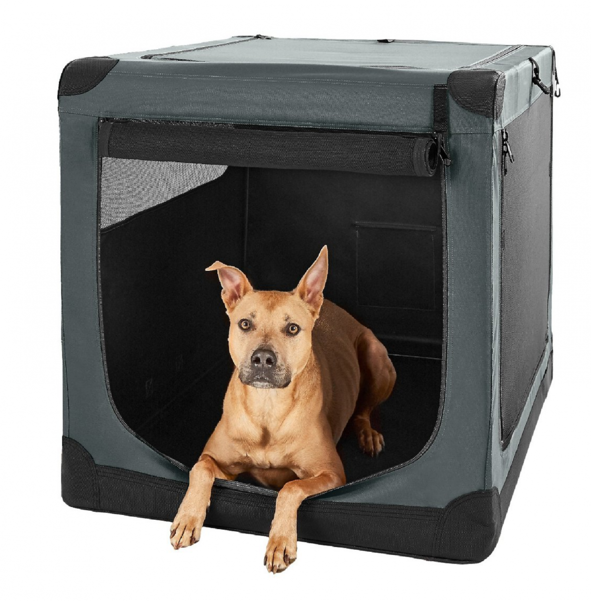 dog travel crate extra large