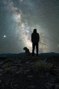 135 Space and Astronomy Inspired Dog Names - Hey, Djangles.