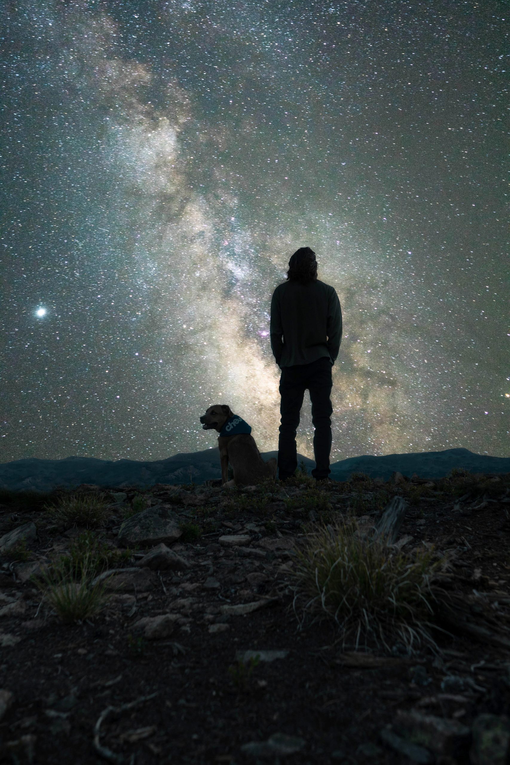 135 Space and Astronomy Inspired Dog Names - Hey, Djangles.