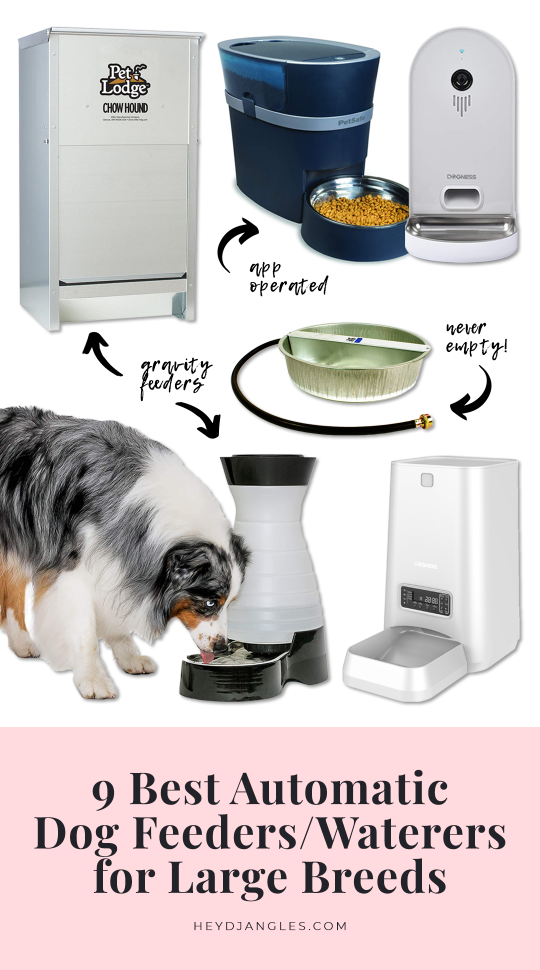 dog feeder for large dogs