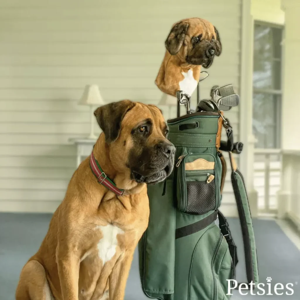 Image via Petsies feat. their Custom Golf Club Head Cover 