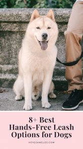 8 Best Hands-Free Leash Options for Dogs - featuring brands such as Tuff Mutt, Hurtta, Zee.Dog, Neewa, Non-Stop Dogwear and more. Hands-free dog leash, dog walking belts, running with your dog #doglover #handsfree #dogwalking