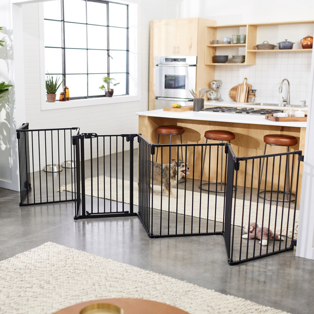 16-best-expandable-gates-for-dogs-hey-djangles