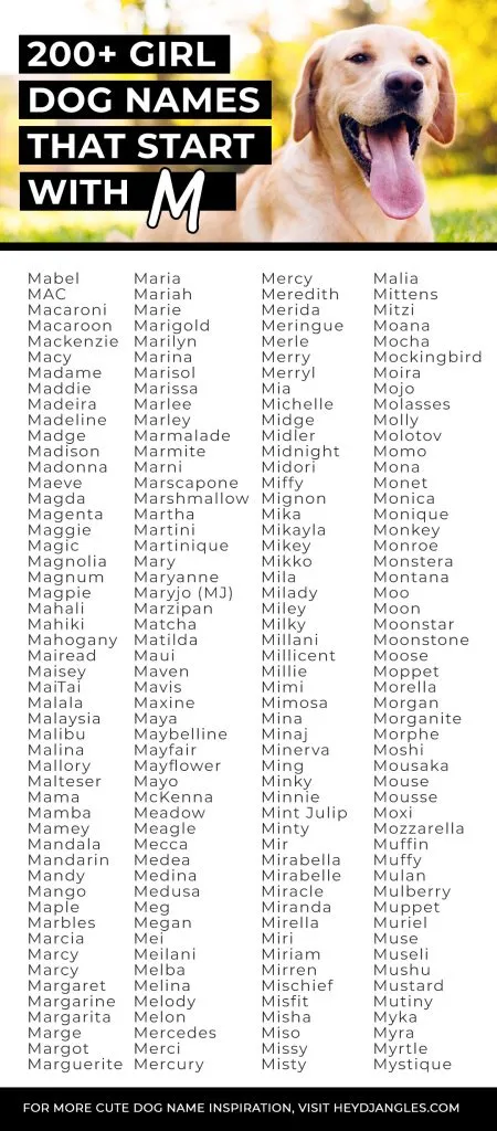 200+ Girl Dog Names That Start With M - Hey, Djangles.