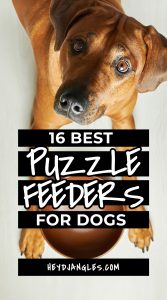 16 Best Puzzle Feeders for Dogs of All Skill Levels - feat. popular interactive dog toy brands Trixie, Nina Ottosson, Outward Hound, KONG, AWOOF and more! Slow feeder for dogs, interactive puzzle game for dog, boredom buster, fun feeders, brain games for dogs.