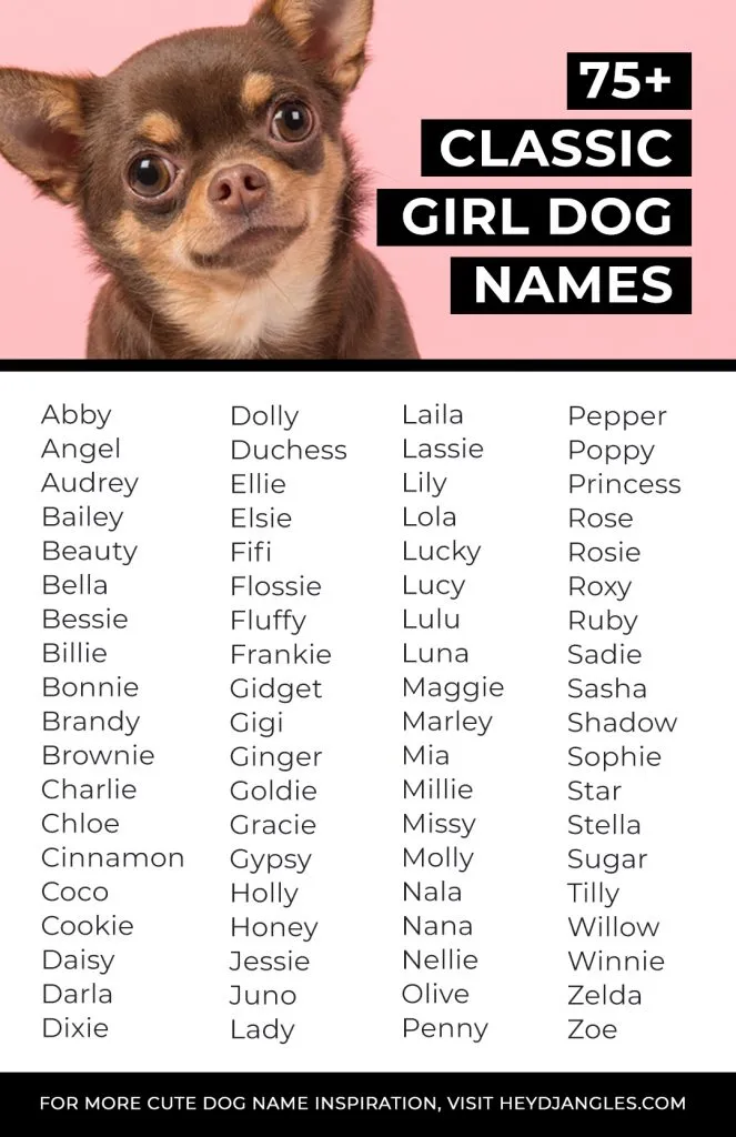 what are the most popular names for female dogs