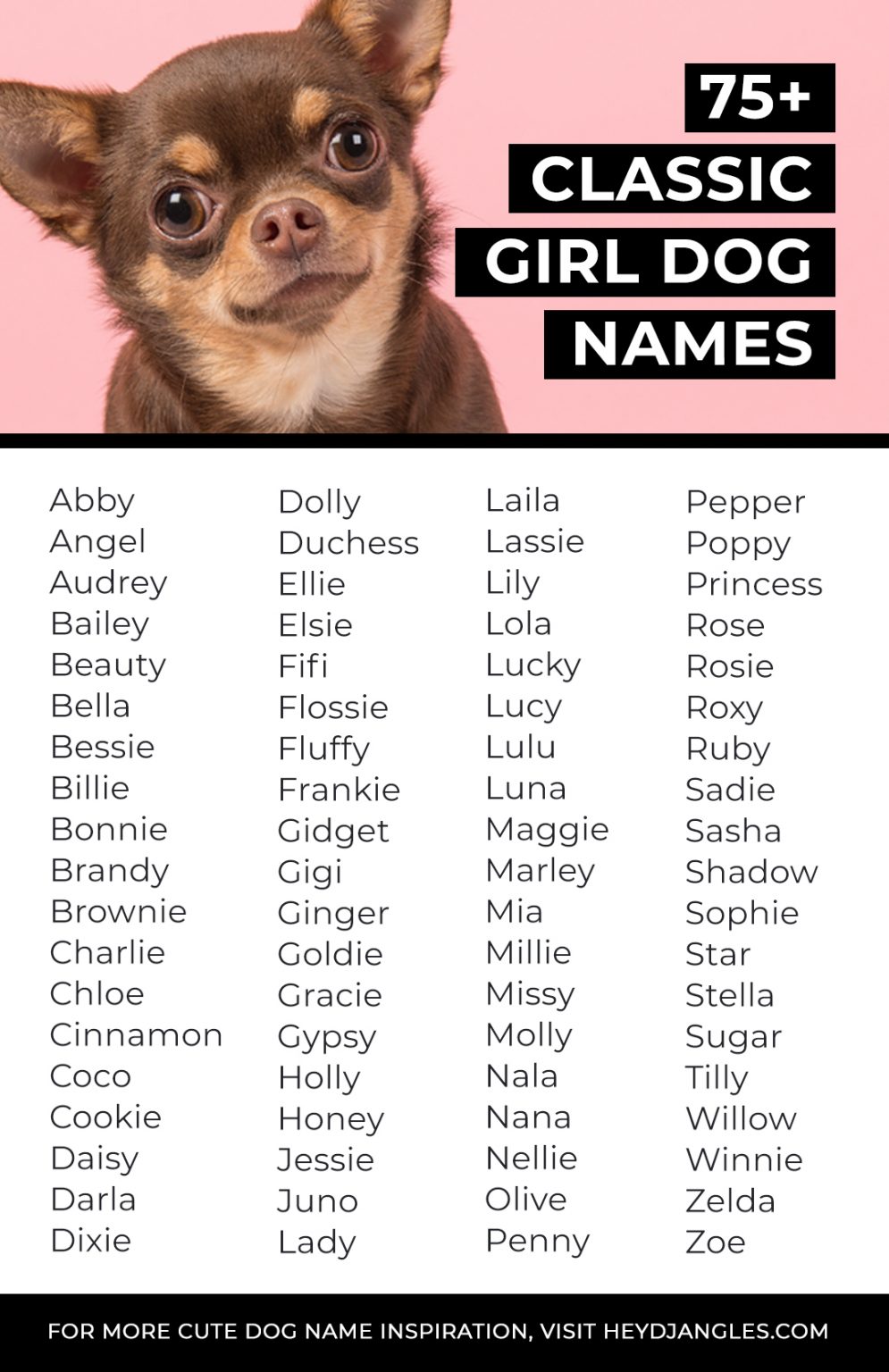 Cute Girl Dog Names Starting With K