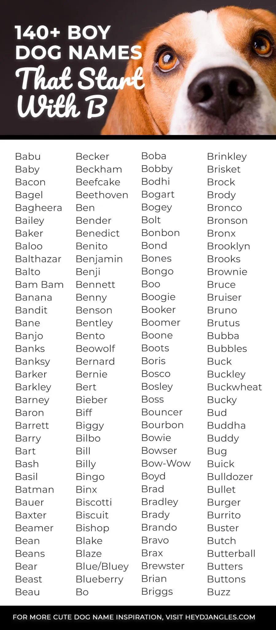 Boy Dog Names That Start With B