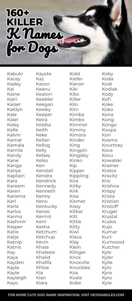 165+ Killer K Names for Dogs - Hey, Djangles.