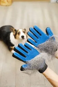 BRAND SPOTLIGHT: Delomo Pet Hair Remover Tools and Products for Pets - feat. Pet Grooming Gloves via Delomo