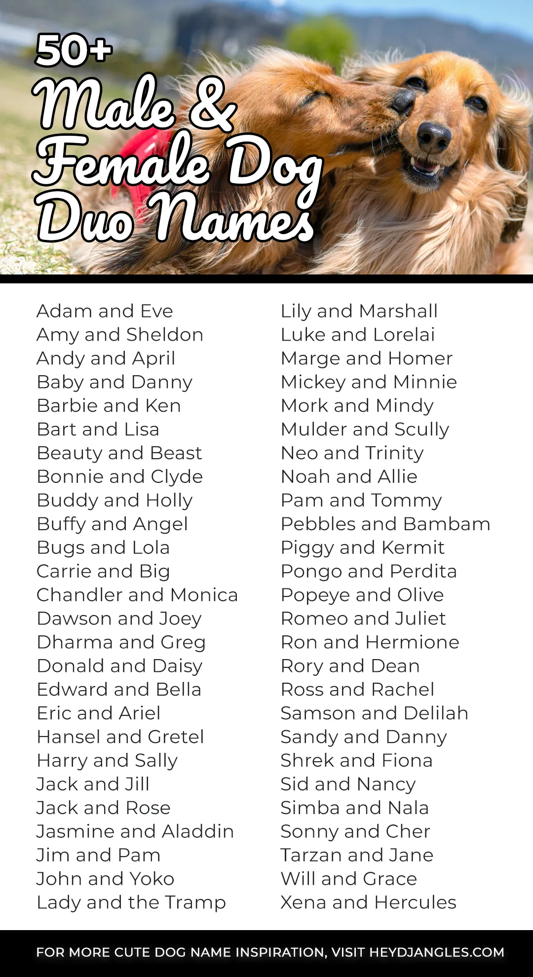 200-best-dog-duo-names-perfect-pair-names-for-pets-hey-djangles