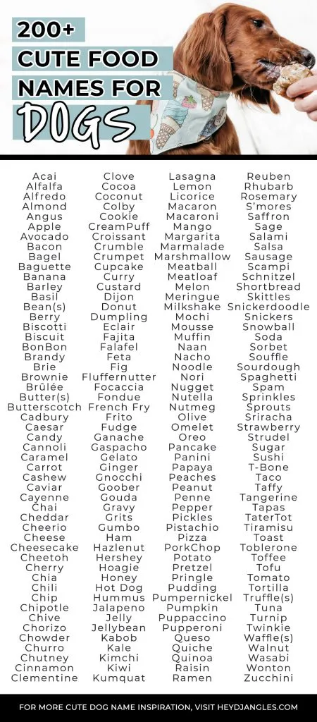 200-cute-food-names-for-dogs-hey-djangles