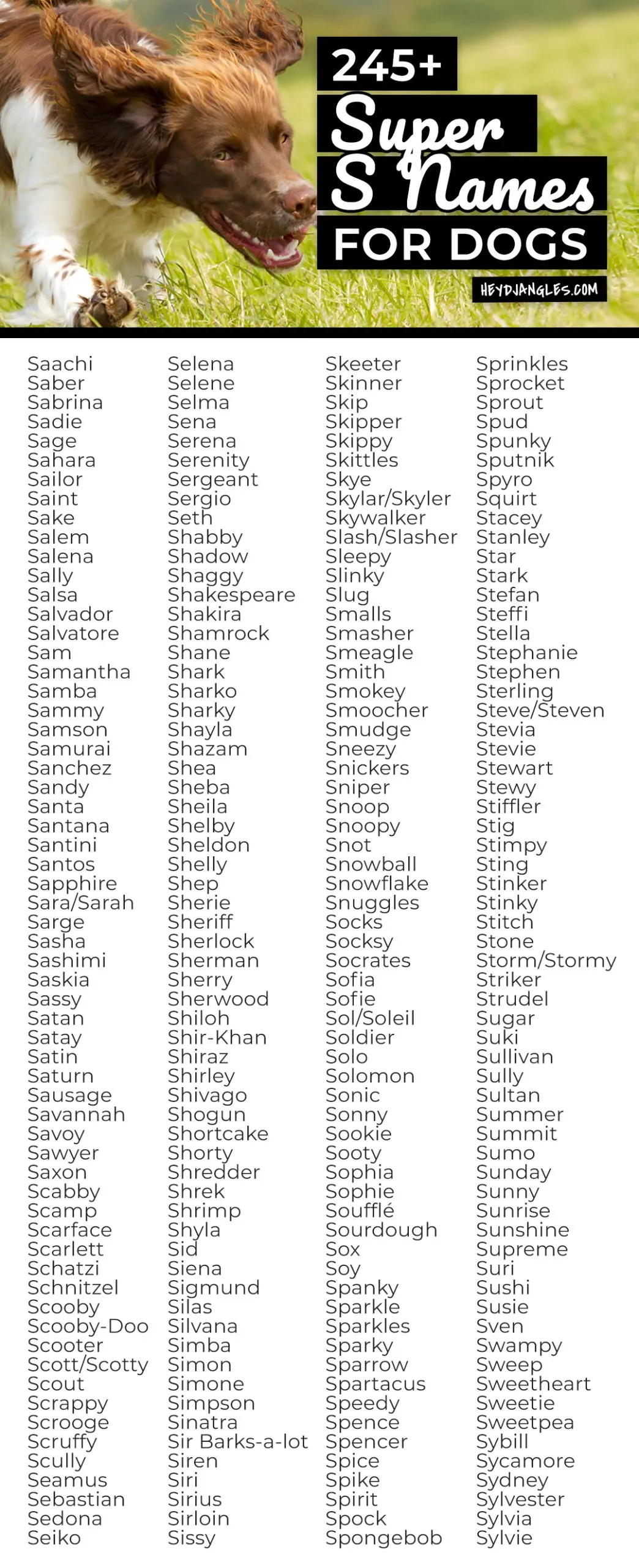 245-super-s-names-for-dogs-hey-djangles