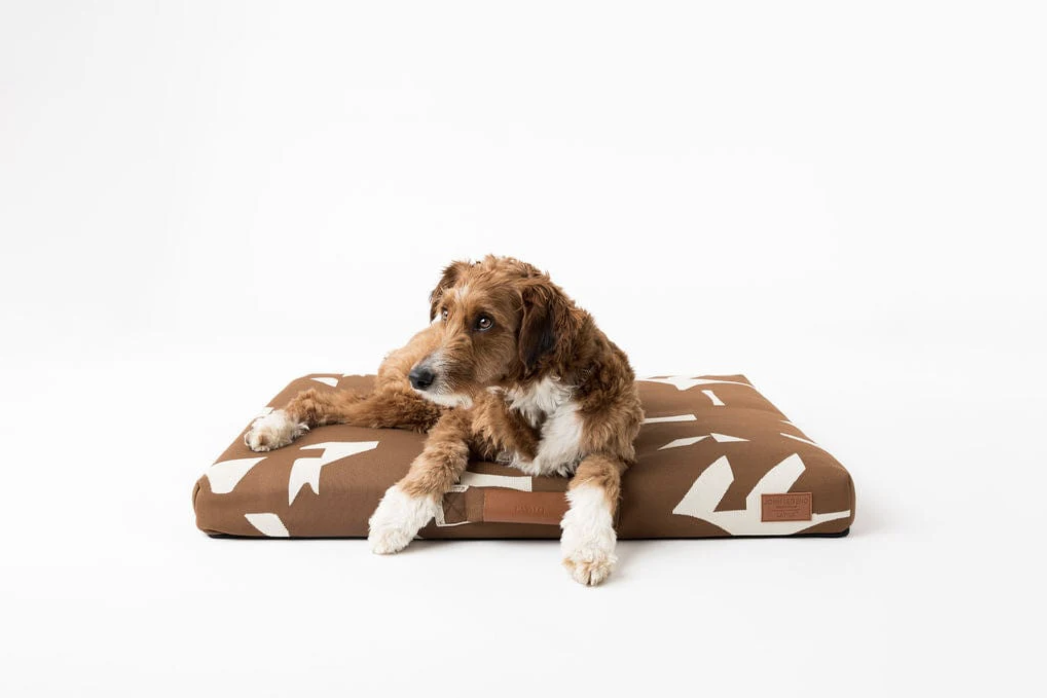 LAY LO Pets Brown Fragment Dog Bed via LAY LO Pets