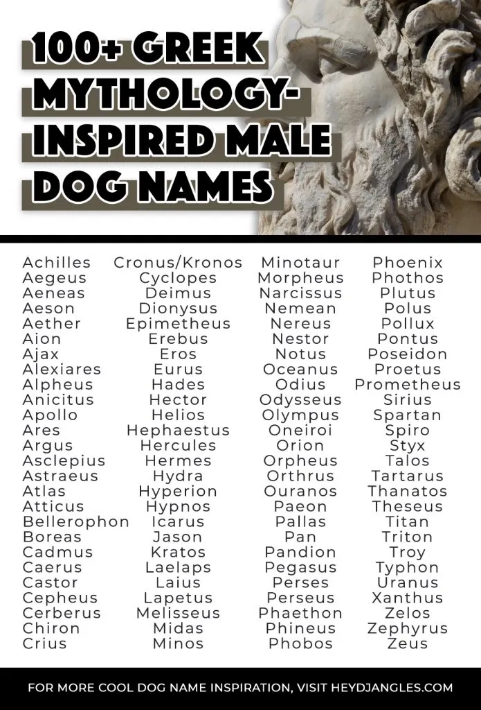 a-list-of-good-male-dog-names