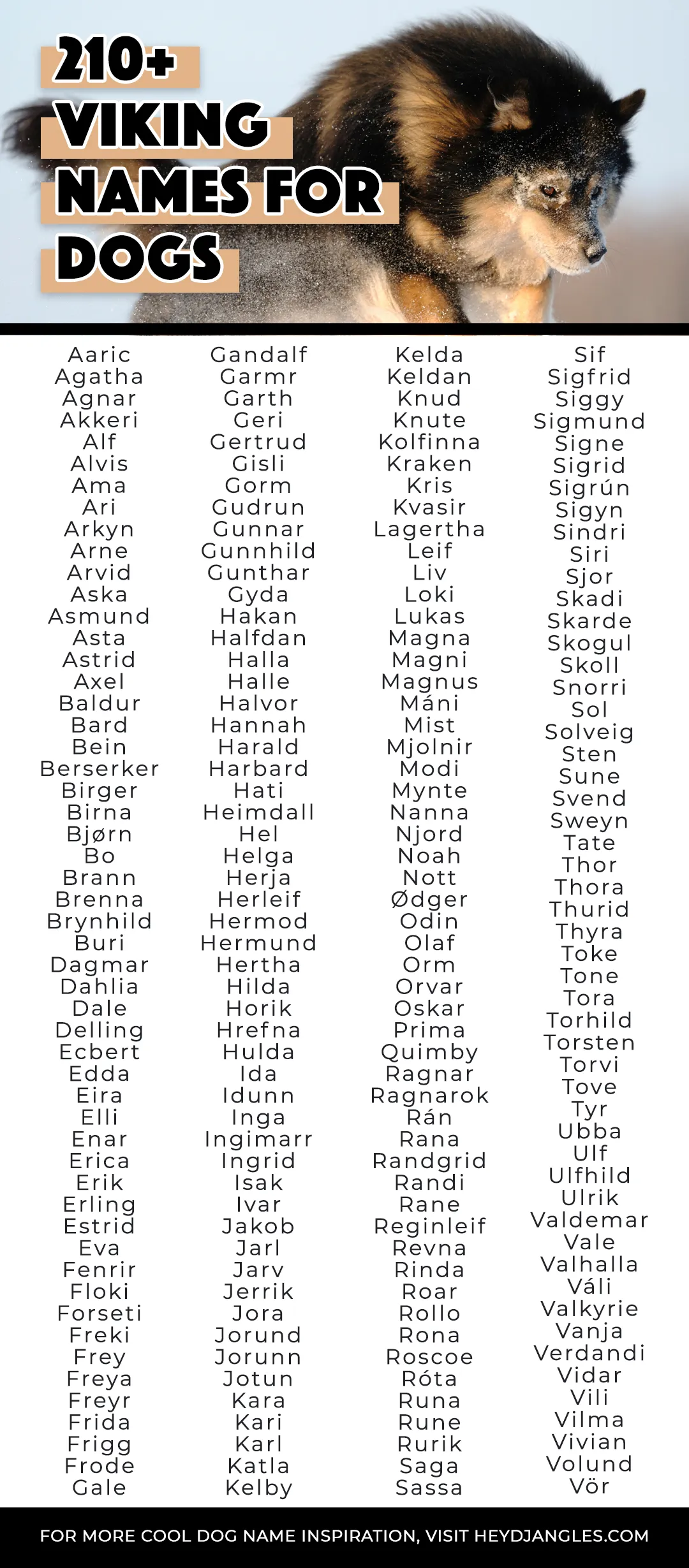 Viking Dog Names