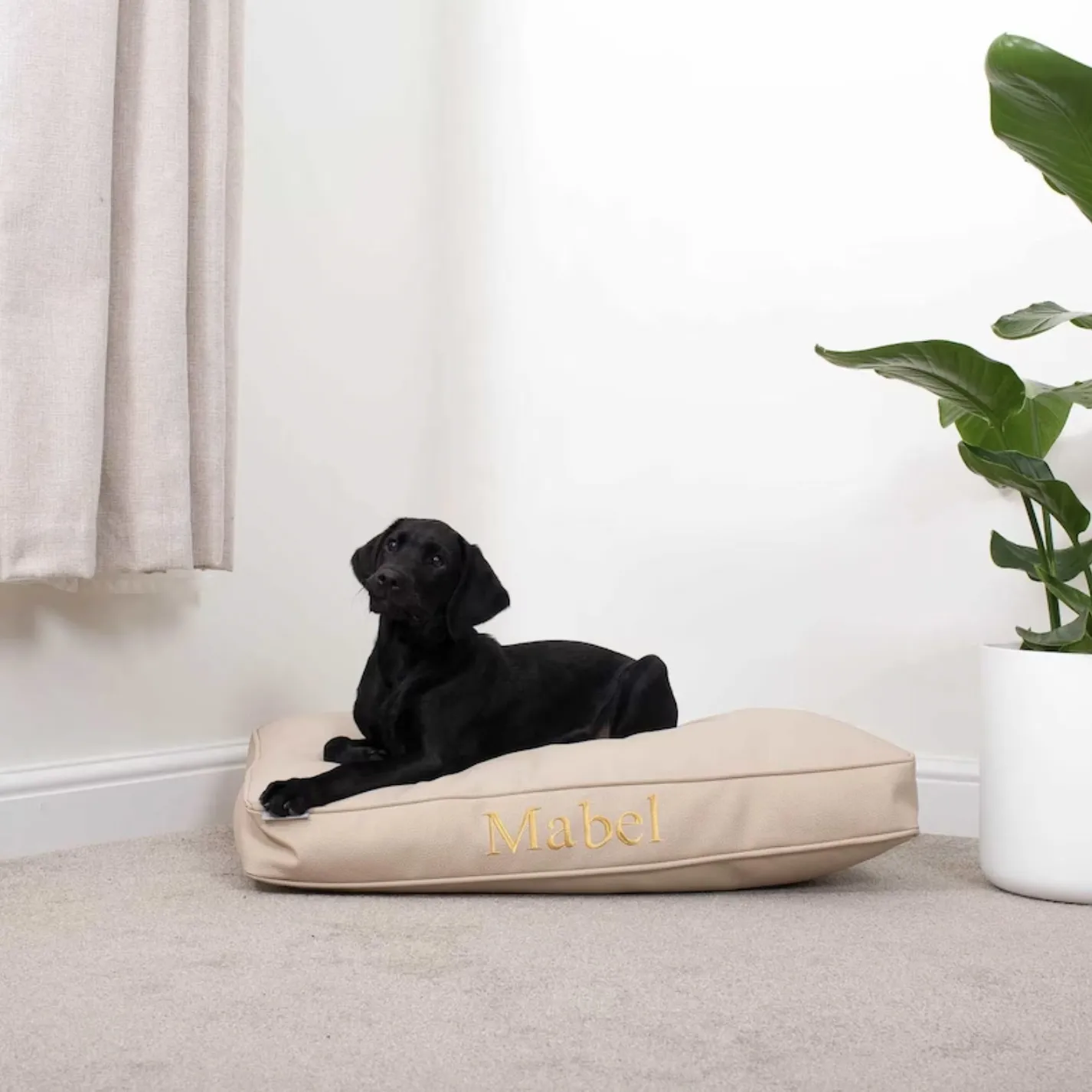 18 Stylish Faux Leather Dog Beds for Large and Extra Large Dogs Hey