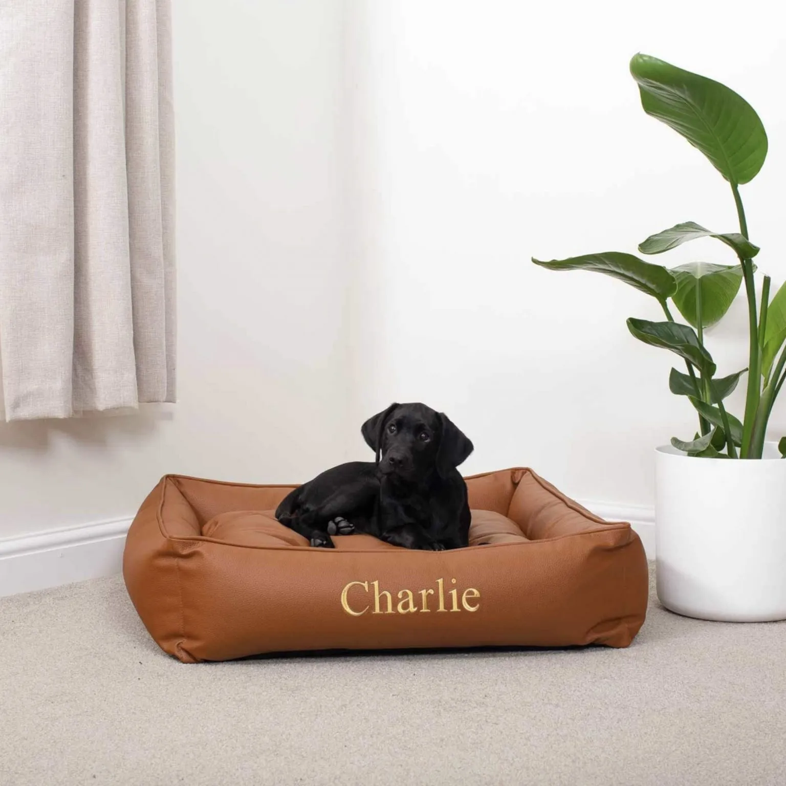 18 Stylish Faux Leather Dog Beds for Large and Extra Large Dogs Hey, Djangles.