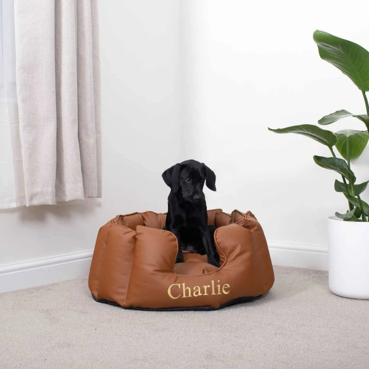 18 Stylish Faux Leather Dog Beds for Large and Extra Large Dogs Hey