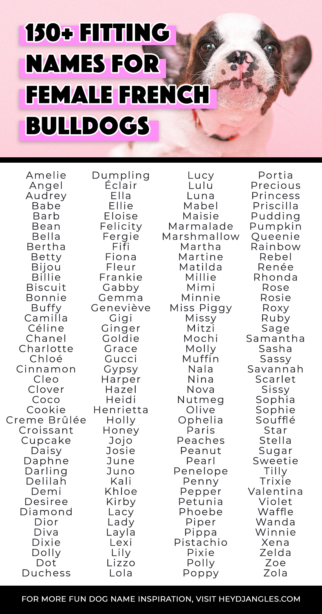 150-fitting-names-for-female-french-bulldogs-hey-djangles