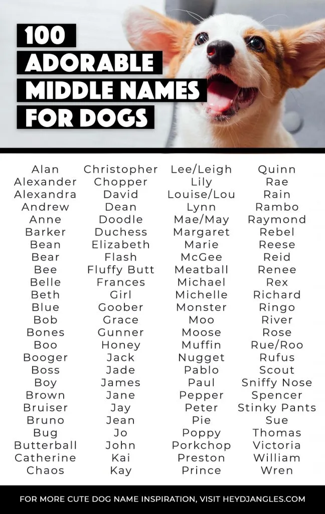 From classic human middle names like Louise, Lynn, and James, to rhyming names, alliteration, and the plain old silly, check out 100 adorable middle names for dogs, right here!