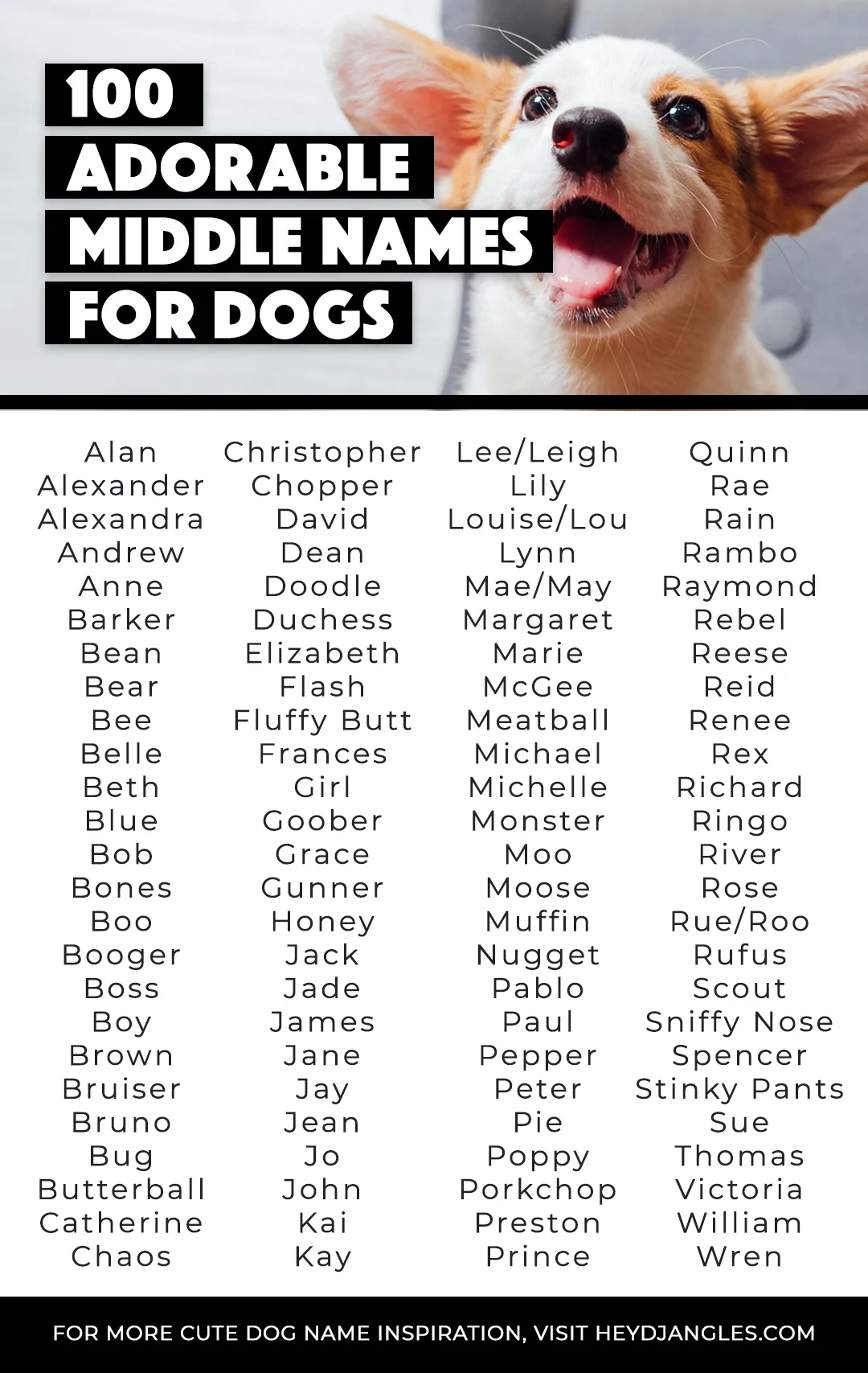 100-adorable-middle-names-for-dogs-hey-djangles