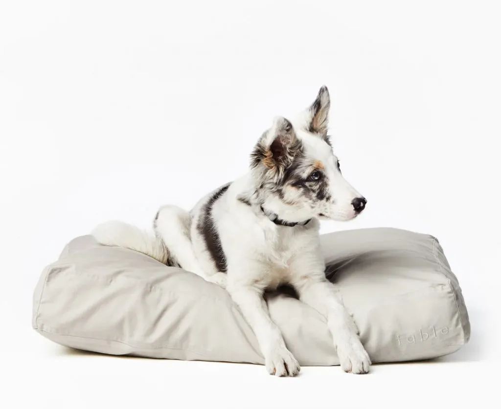30+ Scandi-Inspired Minimalist Dog Beds - feat. the Fable Dog Bed via Fable Pets (Image via Fable Pets)