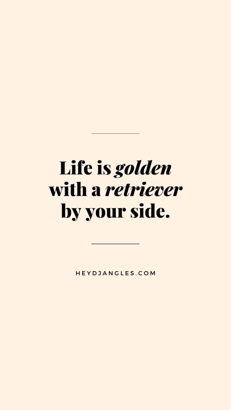 "Life is golden with a retriever by your side."