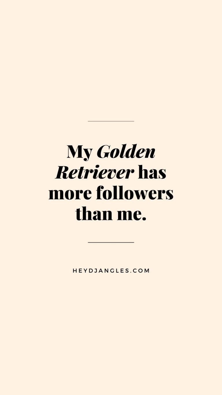 "My Golden Retriever has more followers than me. I guess we know who's really leading the pack. "