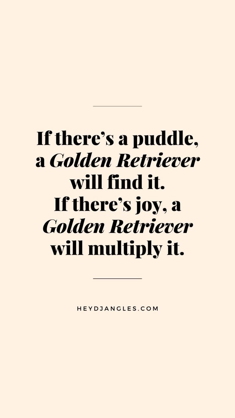 "If there's a puddle, a Golden Retriever will find it. If there's joy, a Golden Retriever will multiply it."