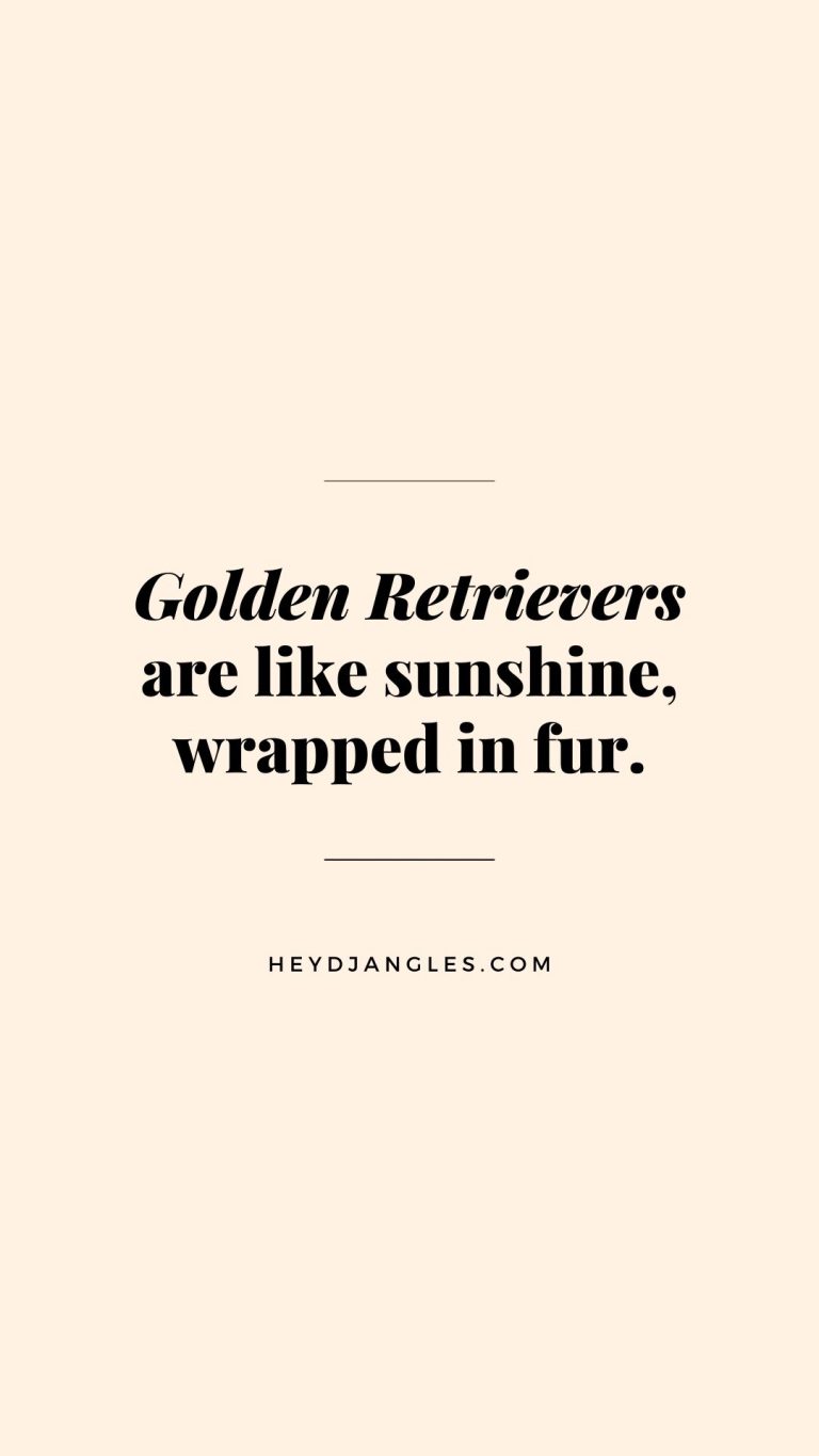 "Golden Retrievers are like sunshine, wrapped in fur."