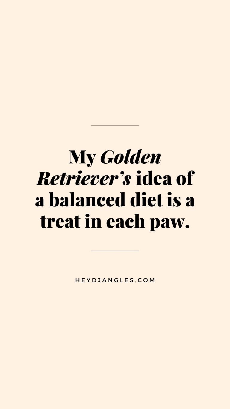 “My Golden Retriever's idea of a balanced diet is a treat in each paw.”