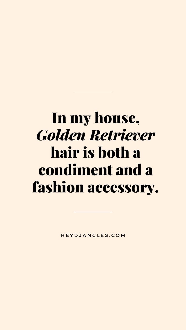 "In my house, Golden Retriever hair is both a condiment and a fashion accessory."
